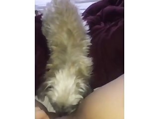 99482 Licking Mommy