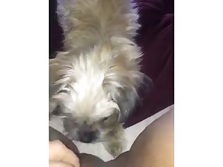 99482 Licking Mommy