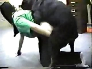 94717 Doggy Fucked Them All