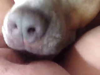 82536 Licking 9