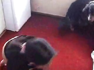 92108 Cute Teen Fuck Dog Part 1
