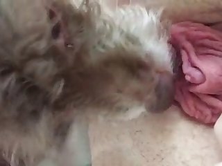 88673 Lick 1