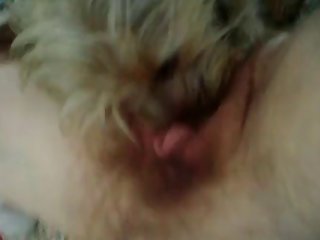 66401 Pussy Licking Pooch