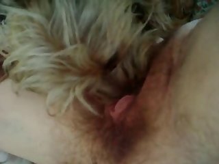66401 Pussy Licking Pooch