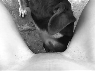 49503 Black Girl Gets Licked