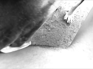 49503 Black Girl Gets Licked