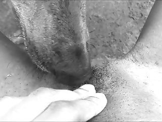 49503 Black Girl Gets Licked
