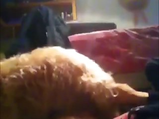 88158 Teen Sucking Her Dog In Room