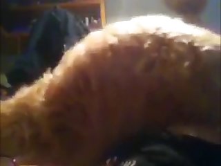 88158 Teen Sucking Her Dog In Room