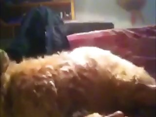 88158 Teen Sucking Her Dog In Room
