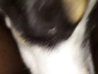 69471 Licking My Pussy Again