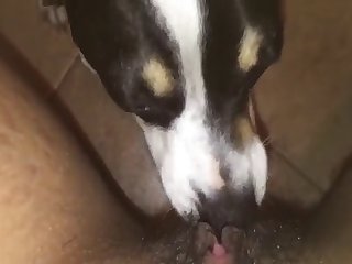 69471 Licking My Pussy Again