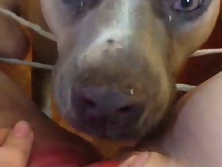 82530 Licking 3