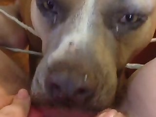 82530 Licking 3