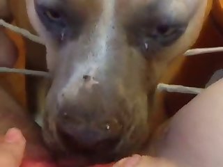 82530 Licking 3