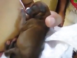 81992 Breastfeeding