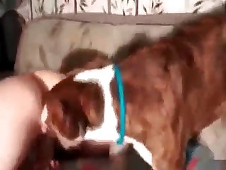 98543 Russian Whore Fucking Rough