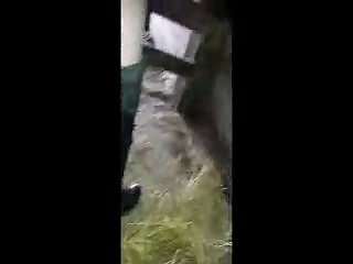 Best To Clean Up All Of Dog's Cum My Ass Blood My