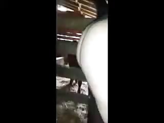 Best To Clean Up All Of Dog's Cum My Ass Blood My