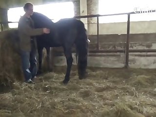 Fucking My Pussy Like The Animal He Was. I Kept Trying To