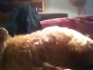 And Patted Her Stomach To Attract Cadbury’s Attention