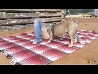A Canine Cum Enema