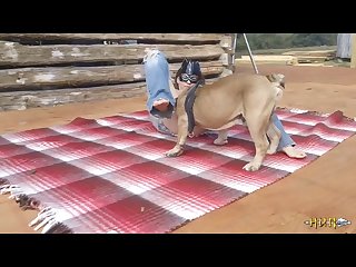 A Canine Cum Enema
