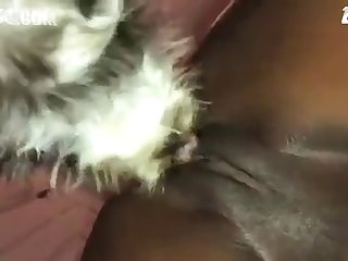 [480x270] A Close Up Petsex.com Converted New