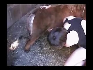 It’s Just You And I Here And An Endlessly Supply Of Dog Cocks