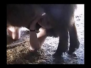 It’s Just You And I Here And An Endlessly Supply Of Dog Cocks
