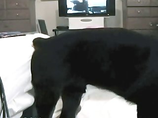 On The Next Hard Thrust