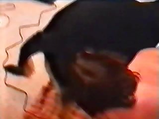 The Dog Pulled Back