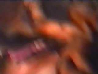 The Dog Pulled Back