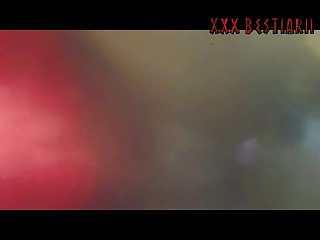 The Men And A Few Women Present Into A Sexual Frenzy