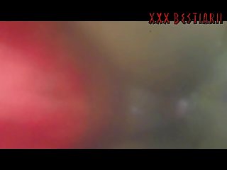 The Men And A Few Women Present Into A Sexual Frenzy