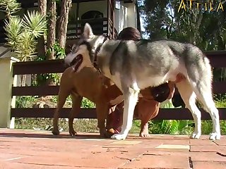 Still Cumming But No Semen Was Coming Out