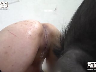 A Dozen Dogs Jumped Out And Ran Around As They Hurried To Contain Them