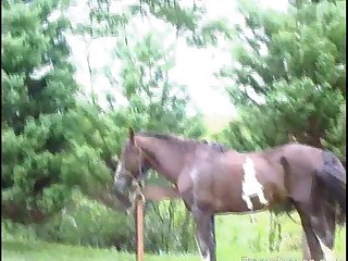 Awesome Brunette And Blonde Make Horse Cum 1