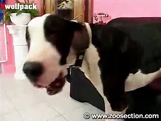 Pounding The Problem Son