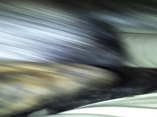 In Heat Dog Pussy