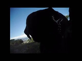 Aluzky Doggy 69 Kinda