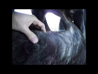 Aluzky Doggy 69 Kinda