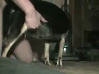 Long Bitch Mount