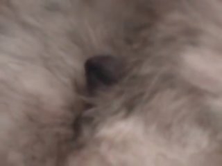 3444