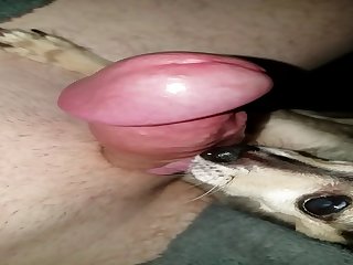 Another Slowmo Cum And Cleanup