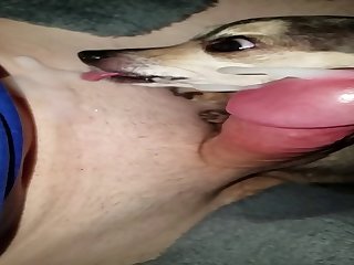Another Slowmo Cum And Cleanup