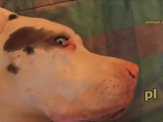 Pleasuring Greta P244 Petlust