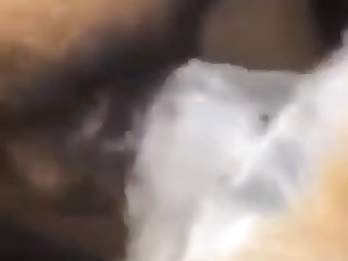 Zoo Del Bueno Con Mi Perra