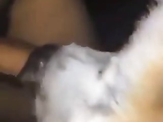 Zoo Del Bueno Con Mi Perra