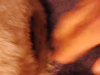 Puffy Puppy Pussy